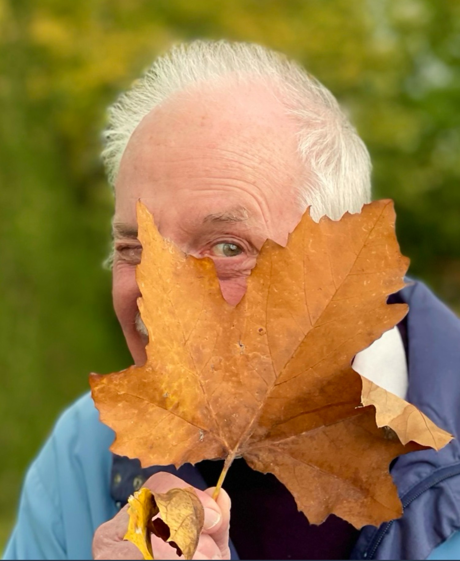 Manfred Keim hält sich ein großes Herbstblatt vors Gesicht, ein Auge schaut darüber hinweg